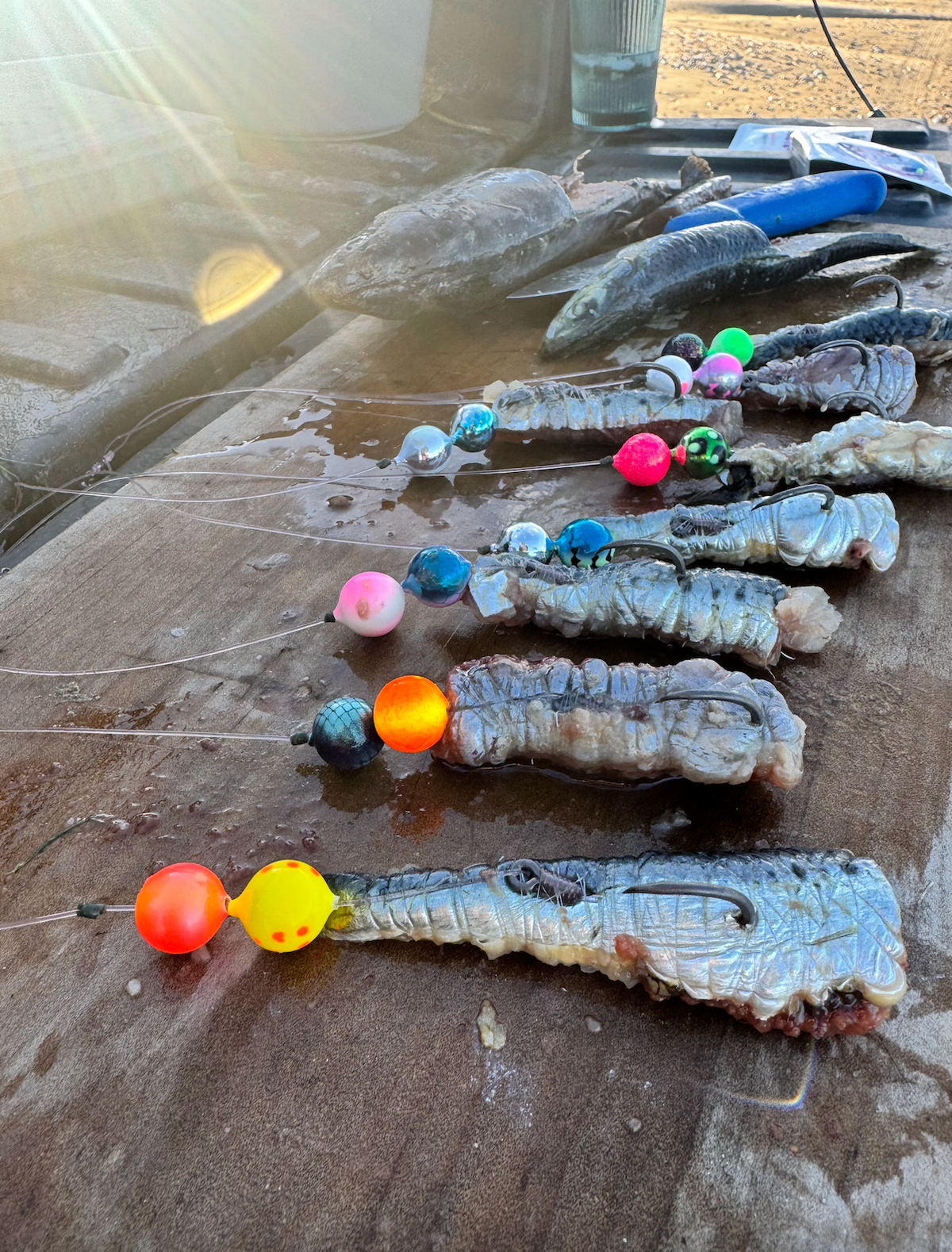 About Snapper Candy | NZ Fishing Tackle & Rig Innovation