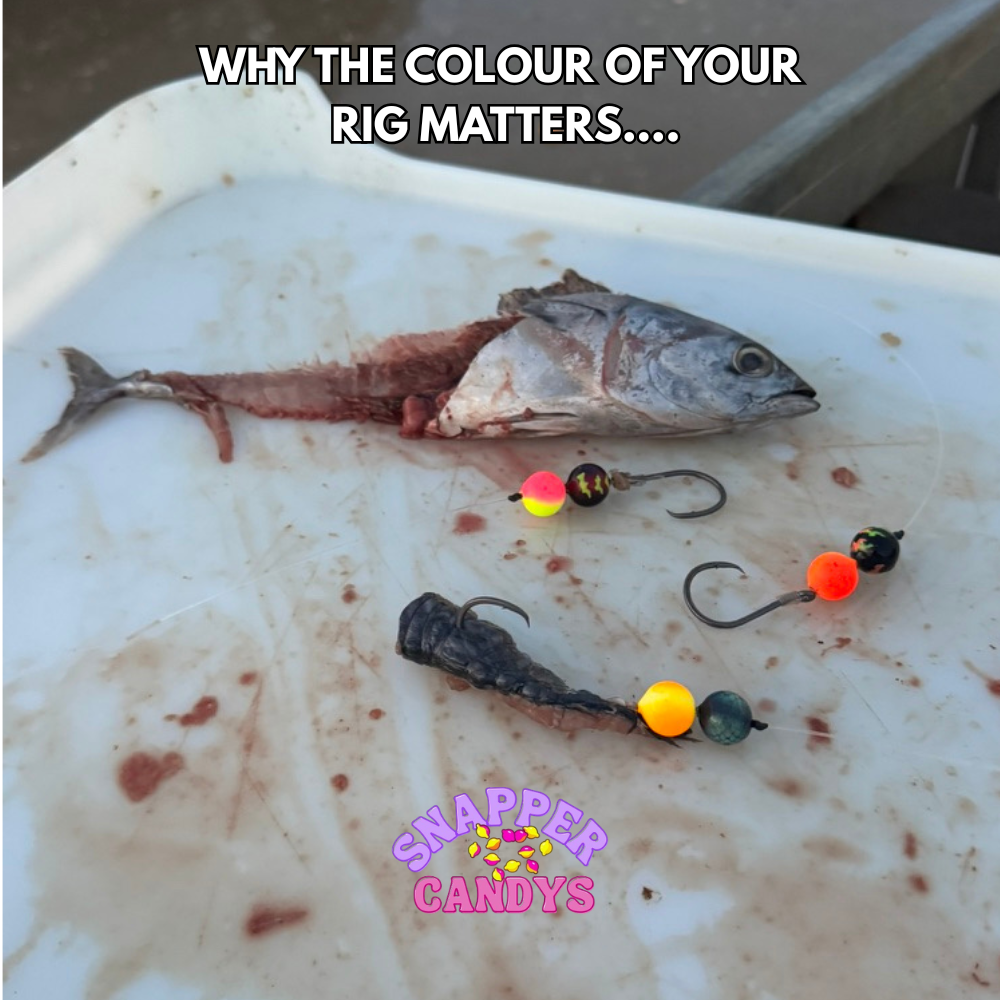 Why the Colour of Your Rig Actually Matters